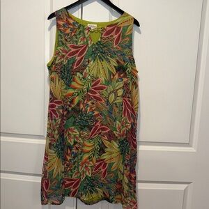Chloe + Renee Women's Sundress  Green and Pink Size XL